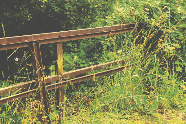 Garden Clearance Tips